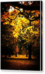 Load image into Gallery viewer, Autumnal Walks - Canvas Print
