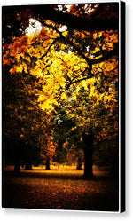 Load image into Gallery viewer, Autumnal Walks - Canvas Print
