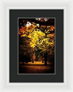 Load image into Gallery viewer, Autumnal Walks - Framed Print
