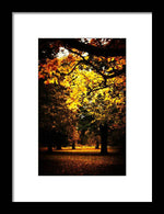 Load image into Gallery viewer, Autumnal Walks - Framed Print
