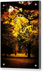 Load image into Gallery viewer, Autumnal Walks - Acrylic Print
