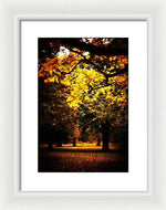 Load image into Gallery viewer, Autumnal Walks - Framed Print

