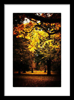 Load image into Gallery viewer, Autumnal Walks - Framed Print
