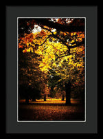 Load image into Gallery viewer, Autumnal Walks - Framed Print
