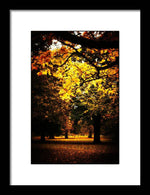 Load image into Gallery viewer, Autumnal Walks - Framed Print
