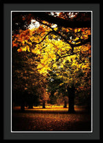 Load image into Gallery viewer, Autumnal Walks - Framed Print
