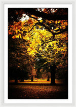 Load image into Gallery viewer, Autumnal Walks - Framed Print
