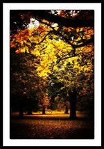 Load image into Gallery viewer, Autumnal Walks - Framed Print
