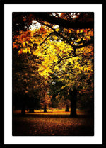 Load image into Gallery viewer, Autumnal Walks - Framed Print

