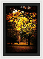 Load image into Gallery viewer, Autumnal Walks - Framed Print
