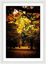 Load image into Gallery viewer, Autumnal Walks - Framed Print
