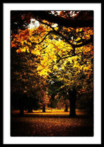 Load image into Gallery viewer, Autumnal Walks - Framed Print
