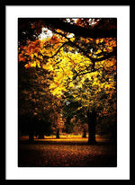 Load image into Gallery viewer, Autumnal Walks - Framed Print
