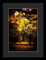 Load image into Gallery viewer, Autumnal Walks - Framed Print
