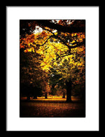 Load image into Gallery viewer, Autumnal Walks - Framed Print
