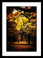 Load image into Gallery viewer, Autumnal Walks - Framed Print

