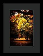 Load image into Gallery viewer, Autumnal Walks - Framed Print
