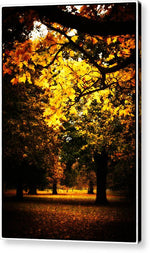 Load image into Gallery viewer, Autumnal Walks - Acrylic Print
