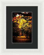 Load image into Gallery viewer, Autumnal Walks - Framed Print
