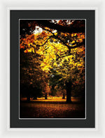 Load image into Gallery viewer, Autumnal Walks - Framed Print
