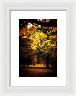Load image into Gallery viewer, Autumnal Walks - Framed Print
