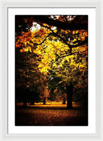 Load image into Gallery viewer, Autumnal Walks - Framed Print
