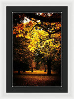 Load image into Gallery viewer, Autumnal Walks - Framed Print
