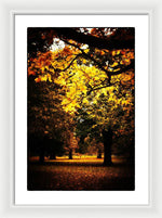 Load image into Gallery viewer, Autumnal Walks - Framed Print
