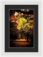 Load image into Gallery viewer, Autumnal Walks - Framed Print
