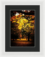 Load image into Gallery viewer, Autumnal Walks - Framed Print
