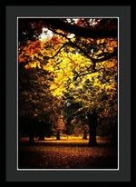 Load image into Gallery viewer, Autumnal Walks - Framed Print
