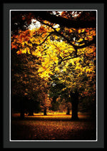 Load image into Gallery viewer, Autumnal Walks - Framed Print
