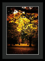 Load image into Gallery viewer, Autumnal Walks - Framed Print
