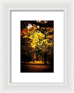 Load image into Gallery viewer, Autumnal Walks - Framed Print
