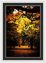 Load image into Gallery viewer, Autumnal Walks - Framed Print
