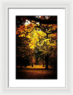 Load image into Gallery viewer, Autumnal Walks - Framed Print
