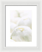 Load image into Gallery viewer, Close up of Peonies - Framed Print

