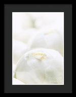 Load image into Gallery viewer, Close up of Peonies - Framed Print
