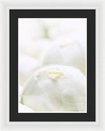 Load image into Gallery viewer, Close up of Peonies - Framed Print

