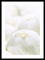 Load image into Gallery viewer, Close up of Peonies - Framed Print
