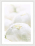 Load image into Gallery viewer, Close up of Peonies - Framed Print
