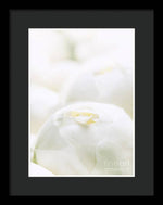 Load image into Gallery viewer, Close up of Peonies - Framed Print
