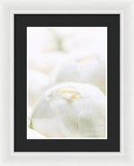 Load image into Gallery viewer, Close up of Peonies - Framed Print
