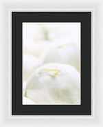Load image into Gallery viewer, Close up of Peonies - Framed Print

