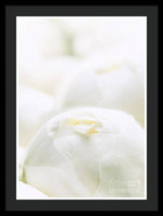 Load image into Gallery viewer, Close up of Peonies - Framed Print
