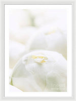Load image into Gallery viewer, Close up of Peonies - Framed Print

