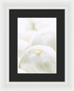 Load image into Gallery viewer, Close up of Peonies - Framed Print
