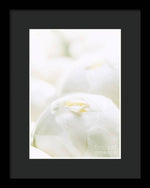 Load image into Gallery viewer, Close up of Peonies - Framed Print
