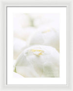 Load image into Gallery viewer, Close up of Peonies - Framed Print
