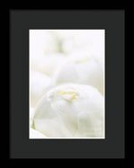 Load image into Gallery viewer, Close up of Peonies - Framed Print
